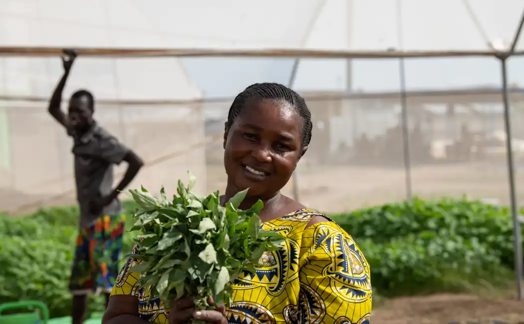 Kenya. Kika