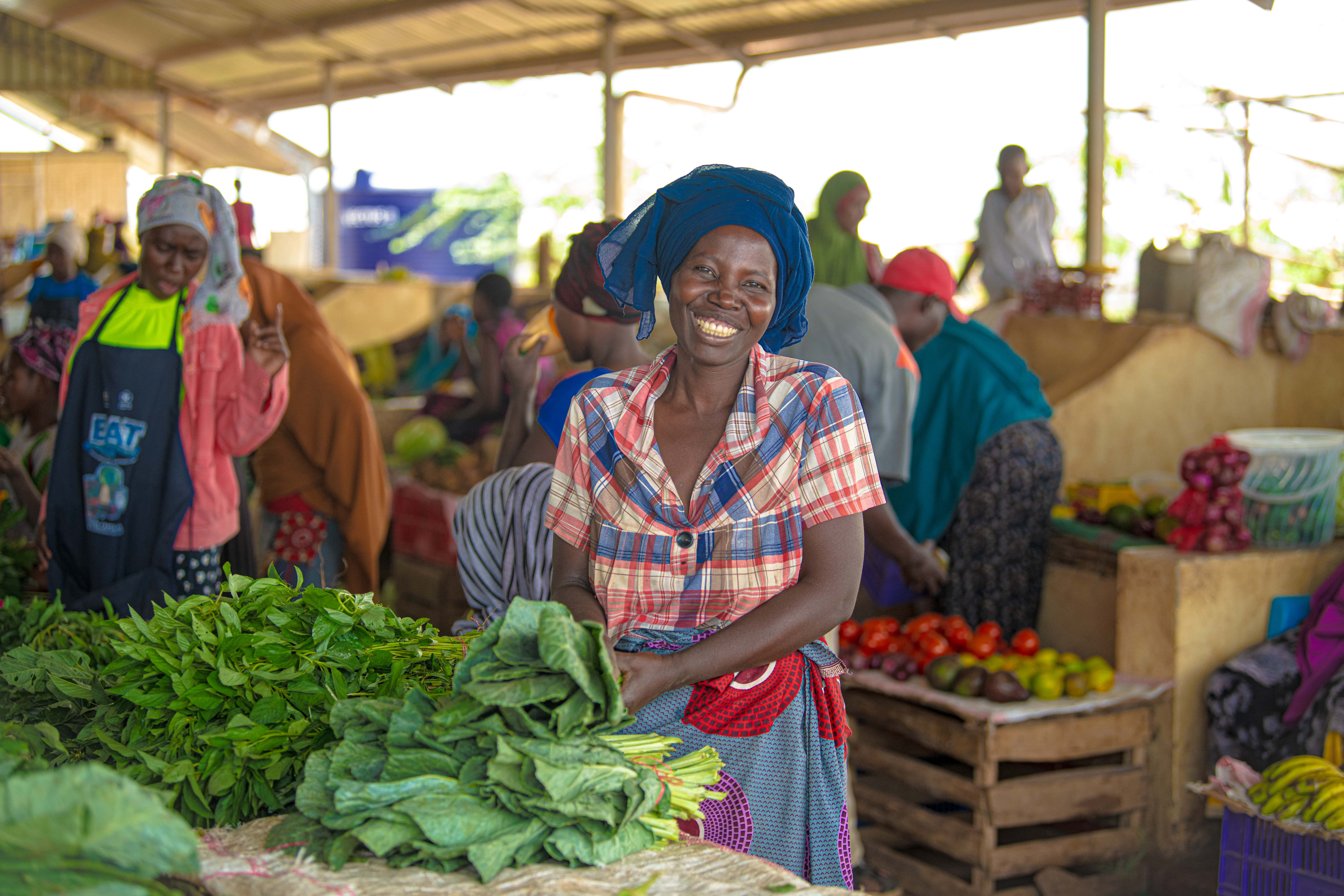 Kenya_Supporting-the-livelihoods-of-refugees-in-Kalobeyei